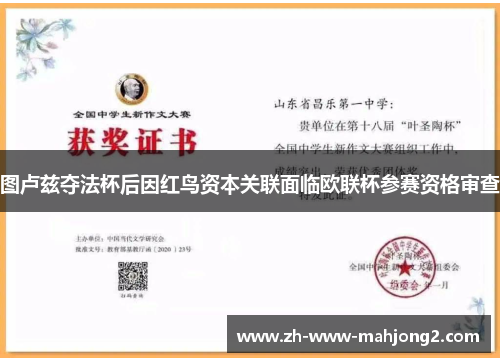 图卢兹夺法杯后因红鸟资本关联面临欧联杯参赛资格审查